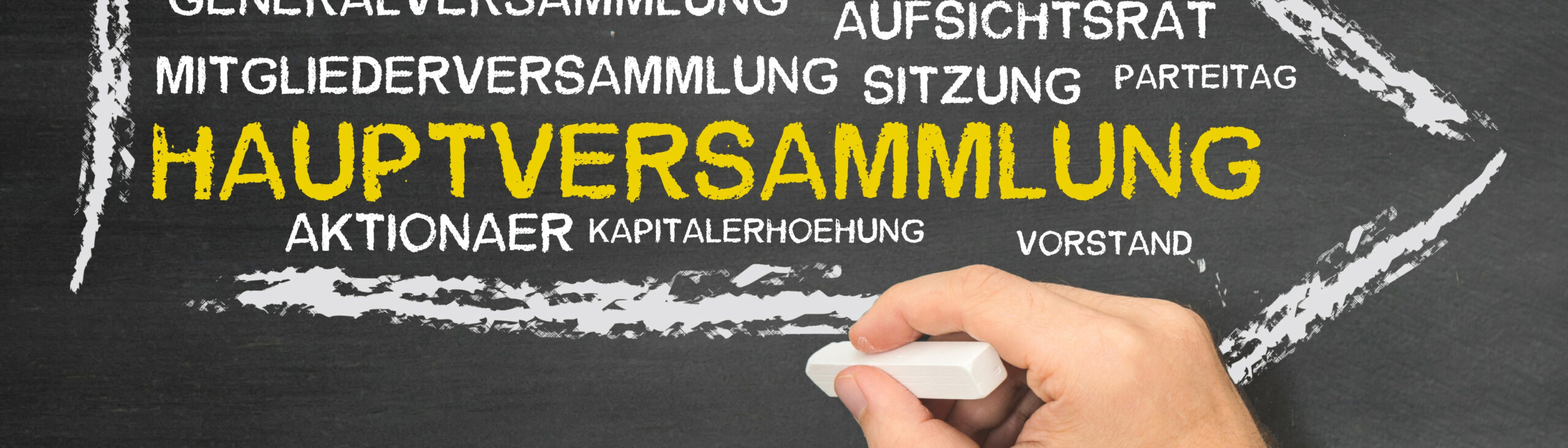 Read more about the article Mitgliederversammlung 2024